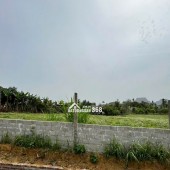 Cần bán gấp 1400 m2 đất nghỉ dưỡng tại Kim Bôi - Hòa Bình