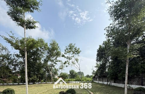 Bố cháu cần bán gấp lô đất để trả lãi ngân hàng tại xã Cổ Đông cũ