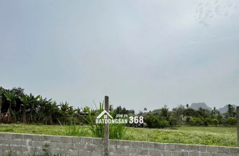 Cần bán gấp 1400 m2 đất nghỉ dưỡng tại Kim Bôi - Hòa Bình
