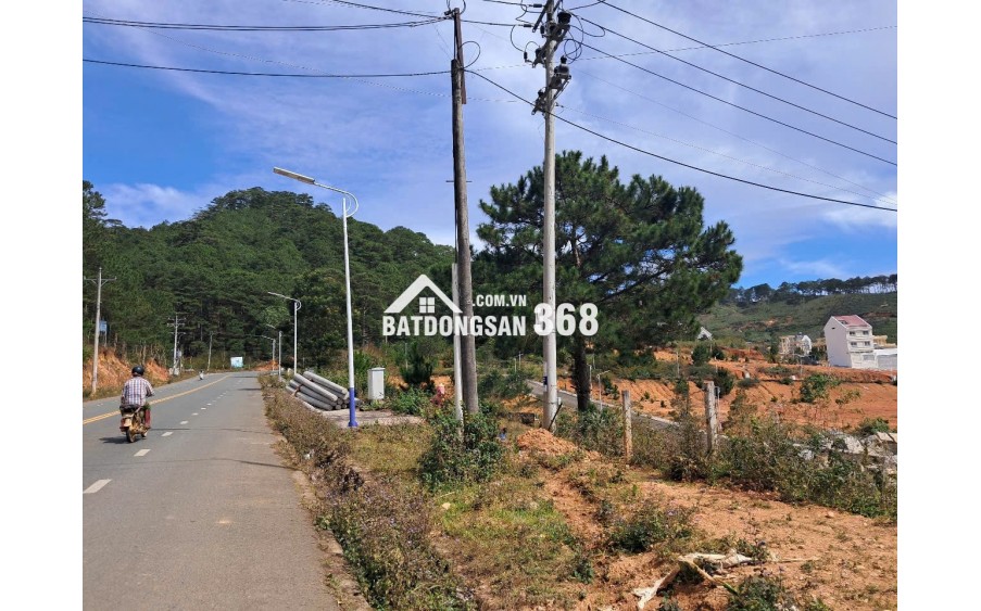 Bán Đất Lớn Lang biang 53,000 m2