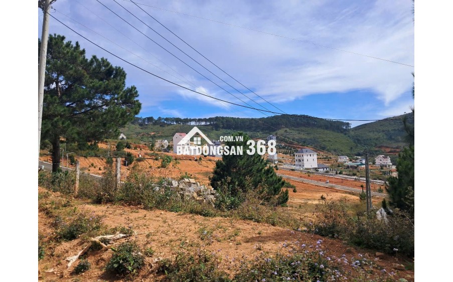 Bán Đất Lớn Lang biang 53,000 m2