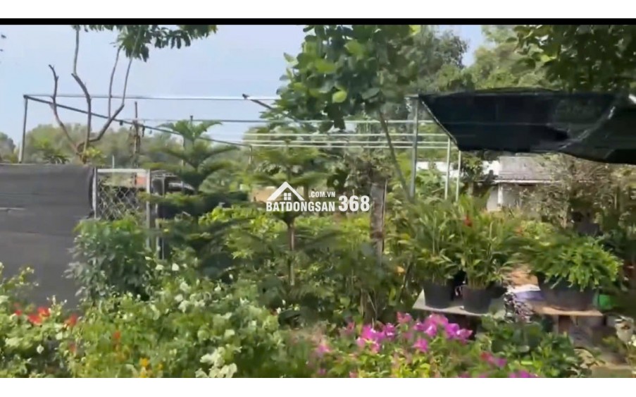 29 TỶ SỞ HỮU ĐẤT MẶT TIỀN VŨNG TÀU GẦN 1000M2 SỐ HỒNG RIÊNG