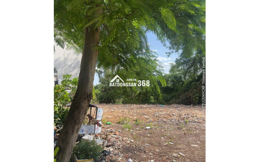 Chính chủ bán đất 136,7m² tại Võ Cường, gần BV Kinh Bắc 2 và hồ điều hòa