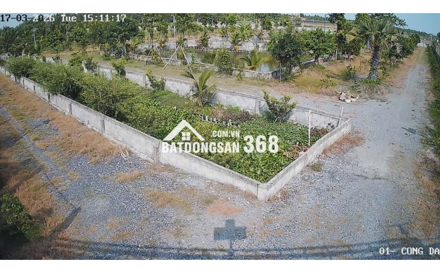 Bán Nhà Vườn 12.000m2, Giá 29.5 Tỷ, Kênh 12, Xã Lê Minh Xuân Bình Chánh