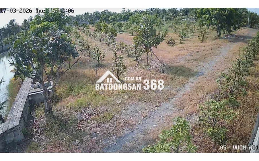 Bán Nhà Vườn 12.000m2, Giá 29.5 Tỷ, Kênh 12, Xã Lê Minh Xuân Bình Chánh