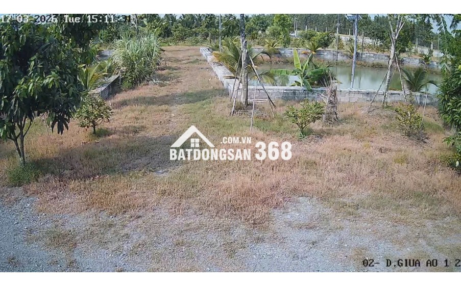 Bán Nhà Vườn 12.000m2, Giá 29.5 Tỷ, Kênh 12, Xã Lê Minh Xuân Bình Chánh