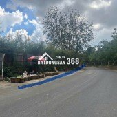 Bán nhanh lô đất MT đường Vòng Lâm Viên phường Lâm Viên .
