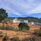 Bán Đất Lớn Lang biang 53,000 m2