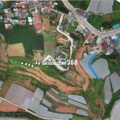 Bán 2ha đến 2ha5 đất trung tâm langbiang