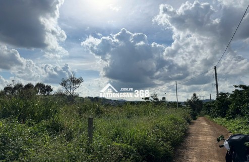 1200m2 đất thị trấn Di Linh đường ô tô đất bằng QH ONT giá 1,6 tỷ tl