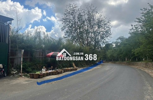 Bán nhanh lô đất MT đường Vòng Lâm Viên phường Lâm Viên .