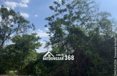 Chính chủ bán đất 136,7m² tại Võ Cường, gần BV Kinh Bắc 2 và hồ điều hòa