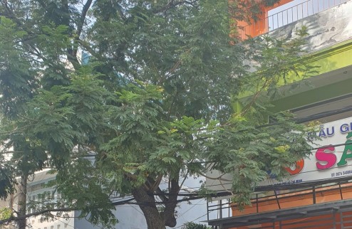 Cần bán lô đất kdc Bình Hưng Bình Chánh gần bxq8