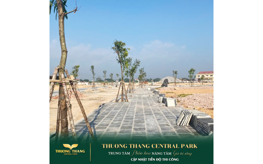 Thông tin dự án Thường Thắng Central Park – Khám phá quy hoạch tiện ích