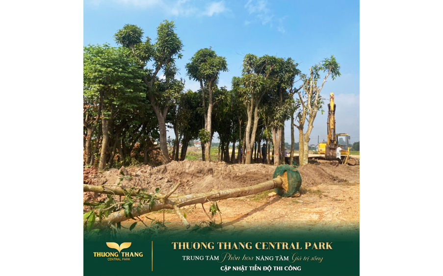 Thông tin dự án Thường Thắng Central Park – Khám phá quy hoạch tiện ích