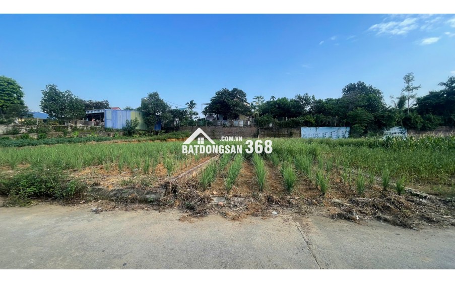 BÁN ĐẤT LÕI TRUNG TÂM PHÚ CÁT – 108,1M² FULL THỔ CƯ – SẴN SỔ