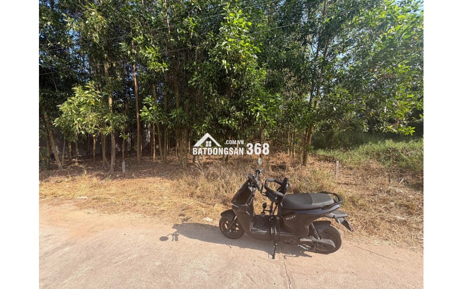CHÍNH CHỦ CẦN BÁN ĐẤT THỔ CƯ GIA KIỆM - THỐNG NHẤT - GIÁ CHỈ 850 TRIỆU