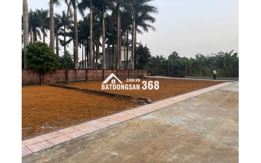 SĂN ĐẤT HÒA LẠC – 100M² NỞ HẬU, SÁT TRỤC DH09 PHÚ CÁT!
