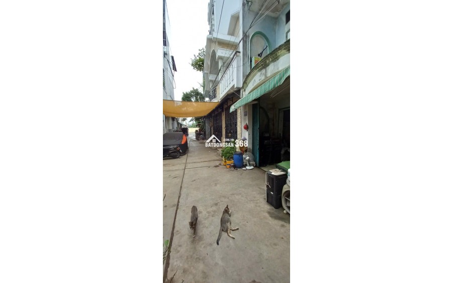 Bán nhà hẻm xe hơi Mã Lò 4 x 12m tiện xây mới