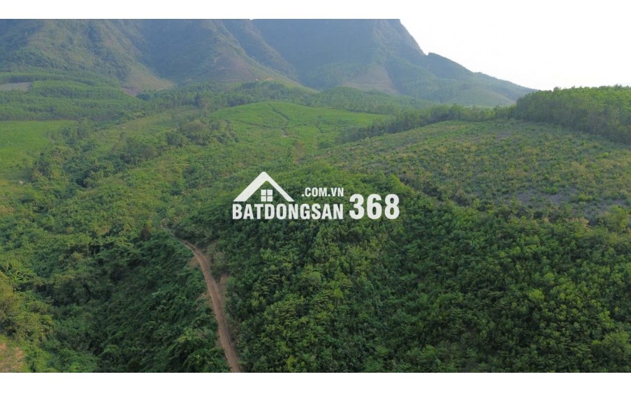 cc 034 3097143 Bán 7.5hecta đất rừng sản xuất view Sông bám suối đại lộc Có keo 2 năm,  Đà Nẵng