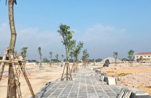 Thông tin dự án Thường Thắng Central Park – Khám phá quy hoạch tiện ích